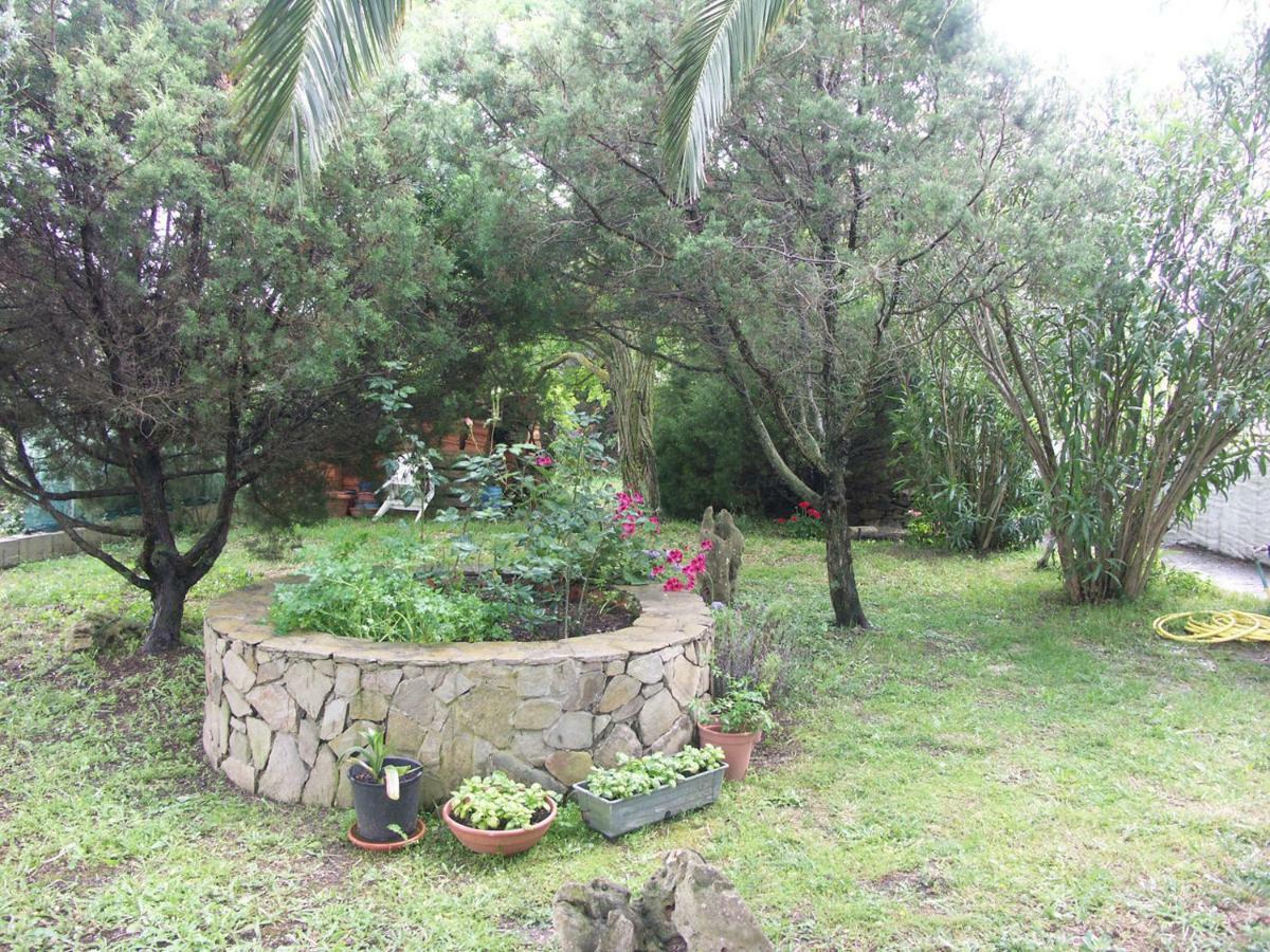 Ferienwohnung Locanda Del Pescatore Palmadula Exterior foto